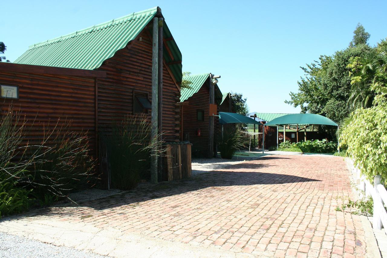 Mountain Breeze Log Cabins 斯托姆勒菲 外观 照片
