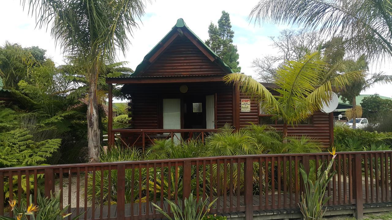 Mountain Breeze Log Cabins 斯托姆勒菲 外观 照片